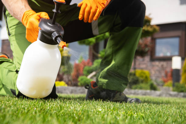 Professional Pest Control in Lorane, PA