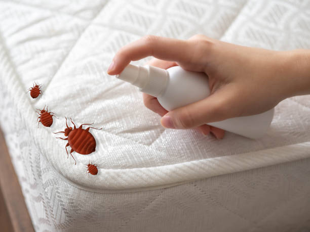 Best Commercial Pest Control Services  in Lorane, PA